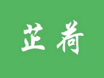 芷荷