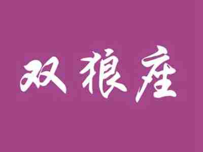 双狼座