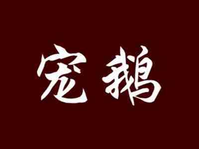 宠鹅