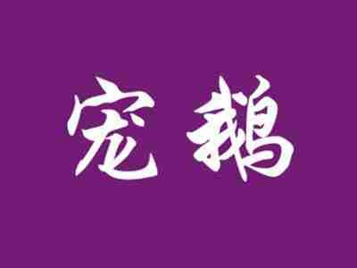 宠鹅