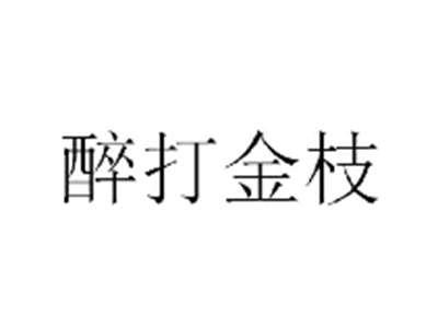 醉打金枝