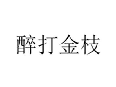 醉打金枝