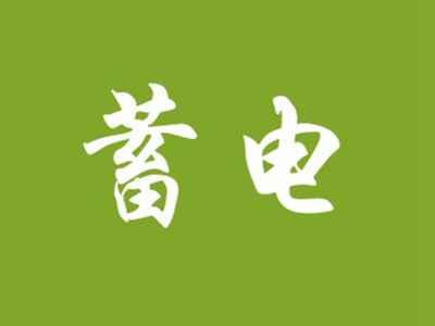 蓄电