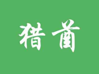 猎酋