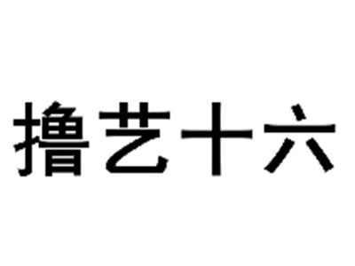 撸艺十六