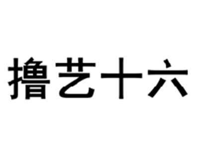 撸艺十六