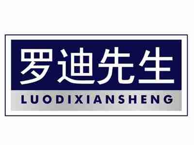 罗迪先生