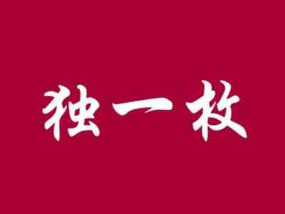 独一枚