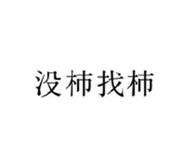 没柿找柿