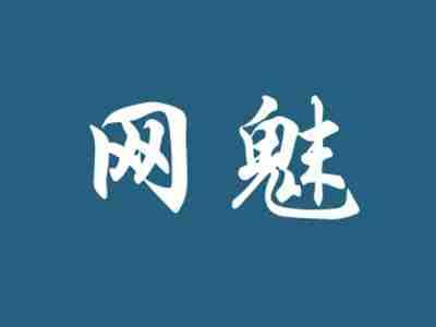网魅