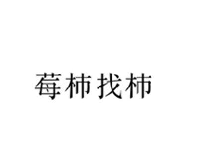 莓柿找柿
