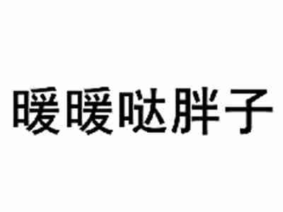 暖暖哒胖子