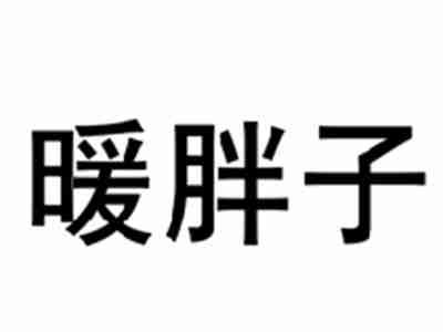 暖胖子