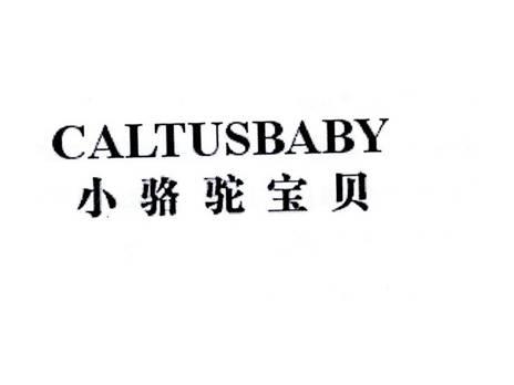 小骆驼宝贝
