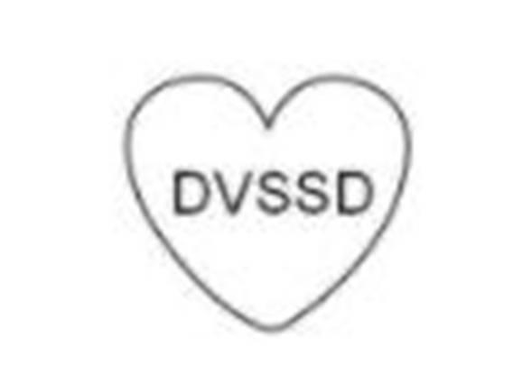 DVSSD