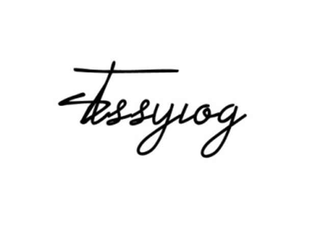 STSSYLOG/仿斯图西