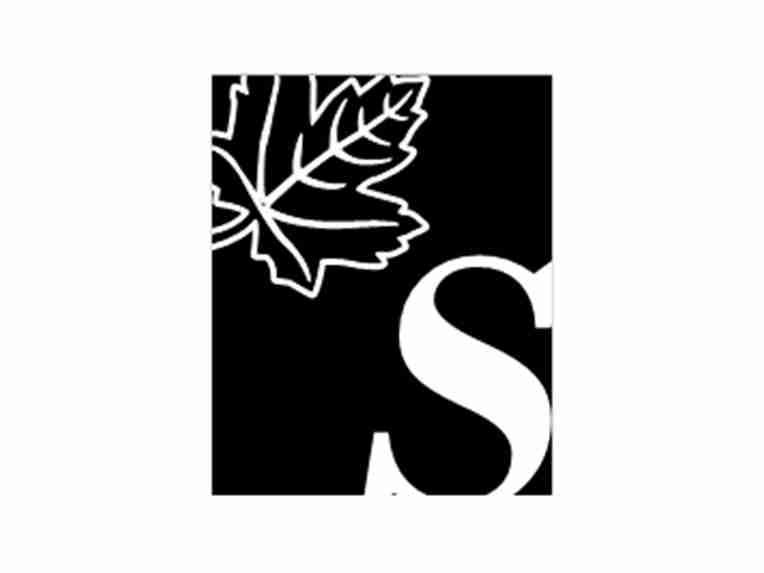 S图形