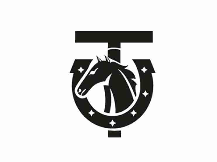 TU、马图形