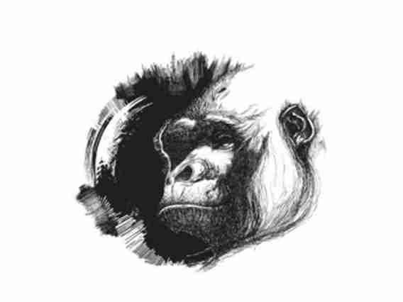 安逸猿图形