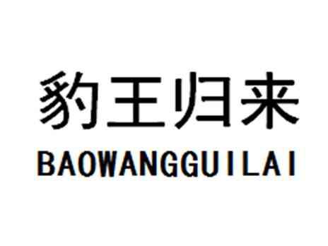 豹王归来