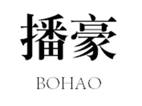 播豪