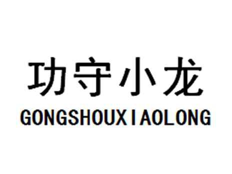 攻守小龙