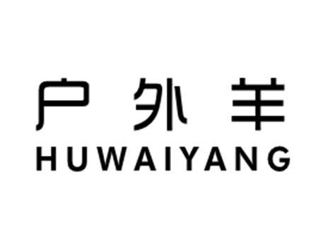 户外羊