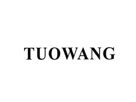TUOWANG/第二皇