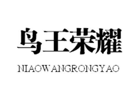鸟王荣耀