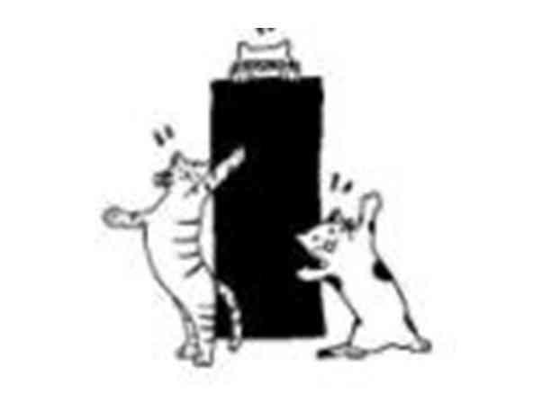 三只小猫
