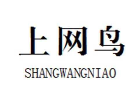 上网鸟