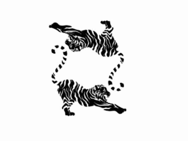 双虎-图形