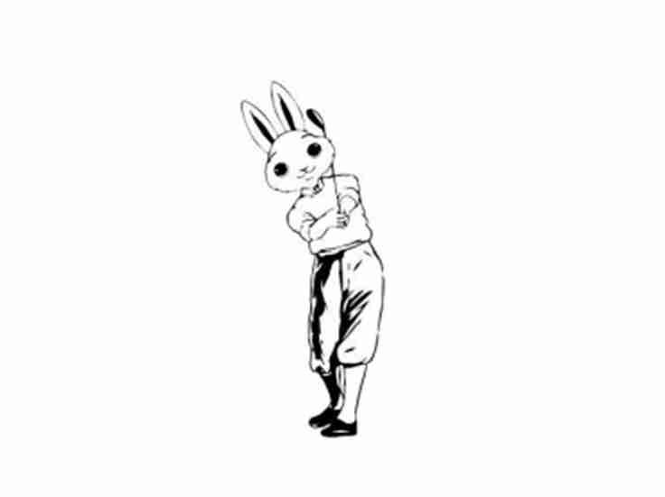 兔子图形