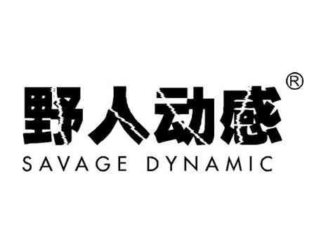 野人动感