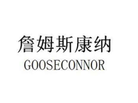 詹姆斯康纳GOOSECONNOR