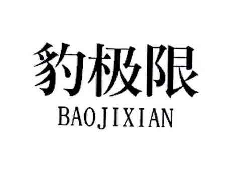豹极限