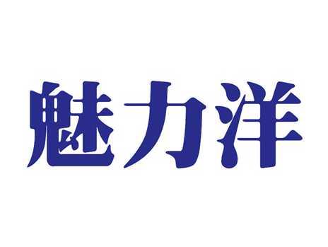 魅力洋