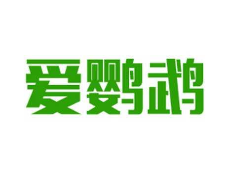 爱鹦鹉