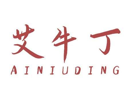 艾牛丁