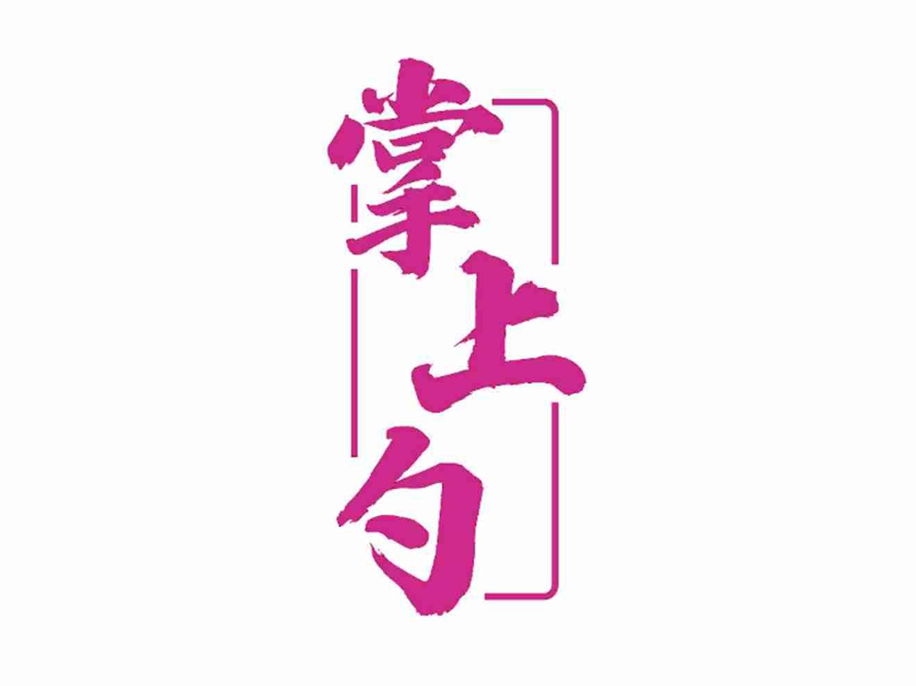 掌上勺