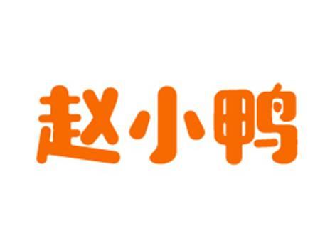 赵小鸭