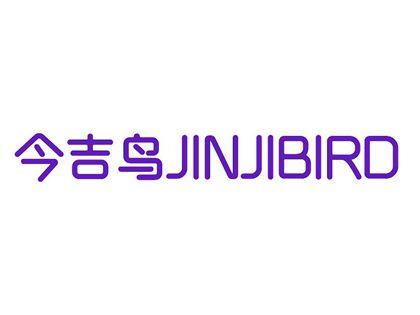 今吉鸟JINJIBIRD