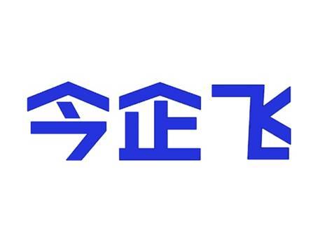 今企飞