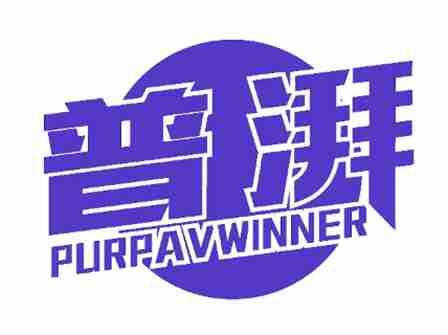 普湃PURPAVWINNER