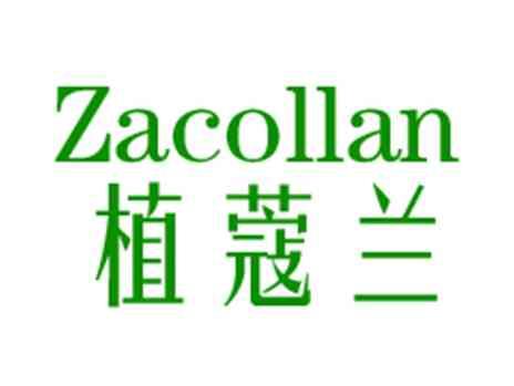 植蔻兰ZACOLLAN
