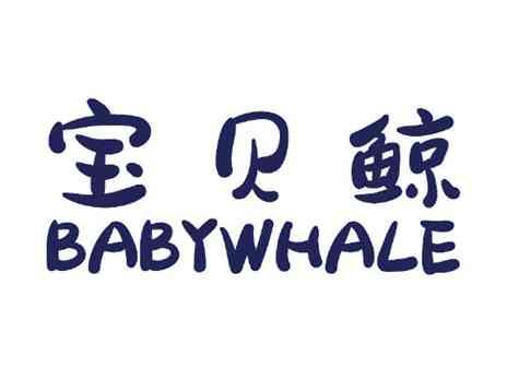宝贝鲸BABYWHALE