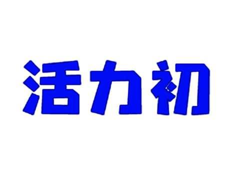 活力初