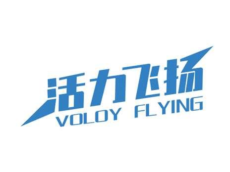 活力飞扬VOLOYFLYING