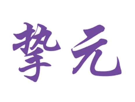 挚元