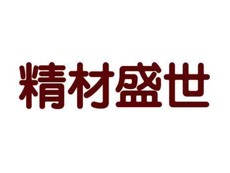 精材盛世